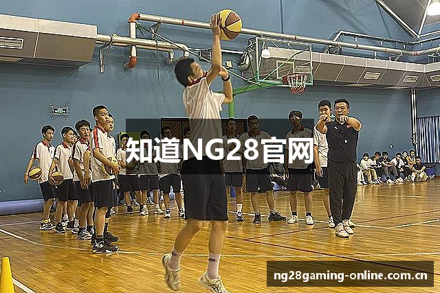 知道NG28官网
